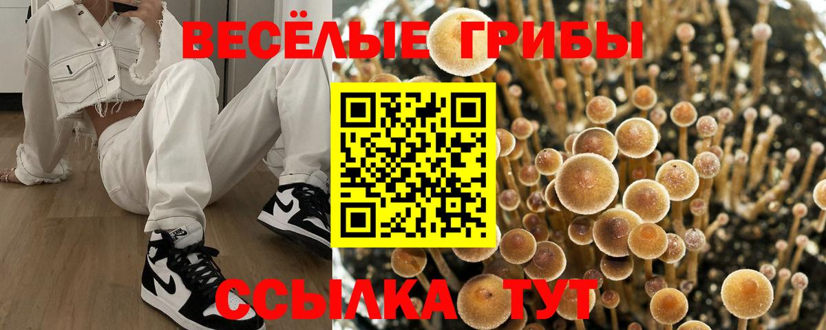 Псилоцибиновые грибы Magic Shrooms Строитель